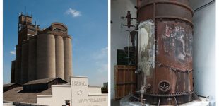 cheLA por Noe Fernandez