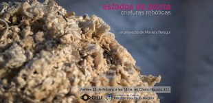 Estados de Alerta | Mariela Yeregui