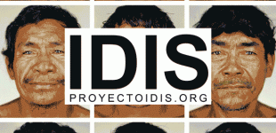 Proyecto IDIS en Carmen de Patagones