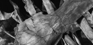 Residencia | Taiwan Off-Site Project